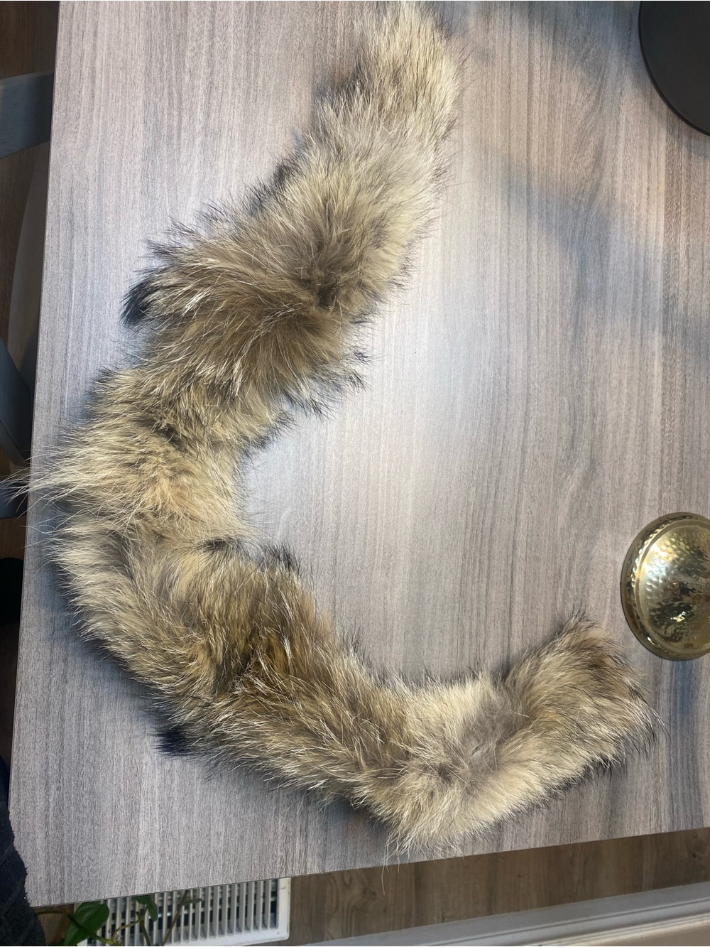 Coyote fur for hood